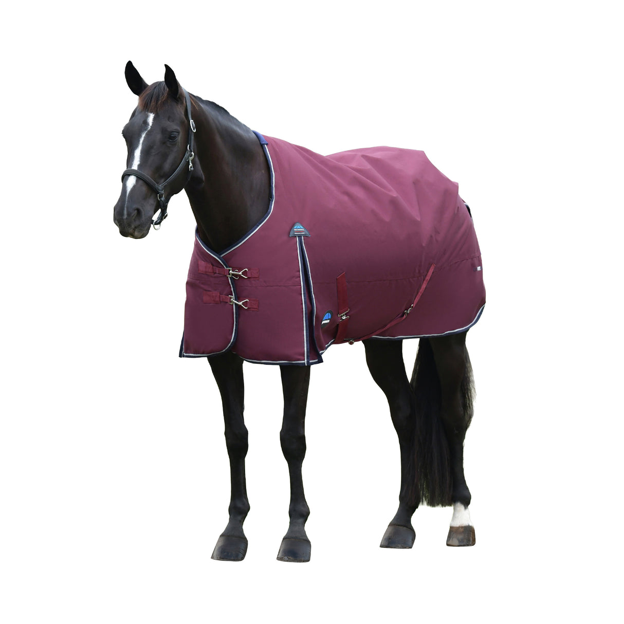 Weatherbeeta Comfitec Essential Turnout 100g