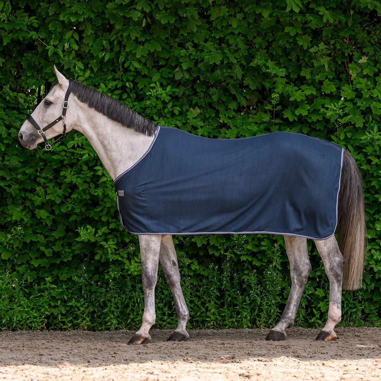 Waldhausen Economic Fleece Rug #colour_night-blue