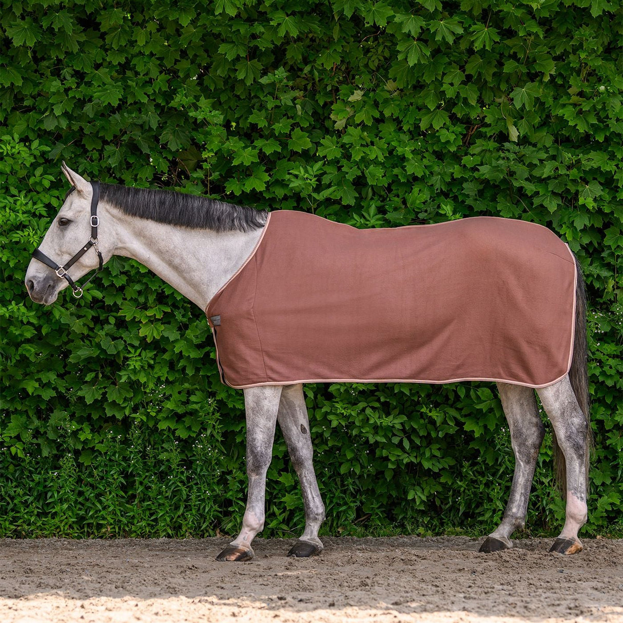 Waldhausen Economic Fleece Rug #colour_mocca