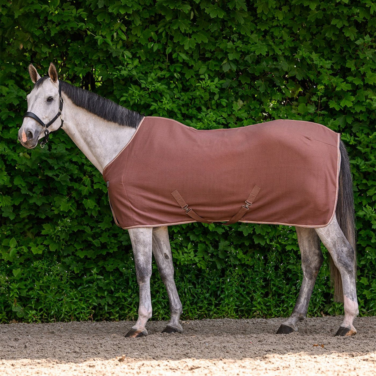 Waldhausen Economic Fleece Rug with Cross Surcingles #colour_mocca