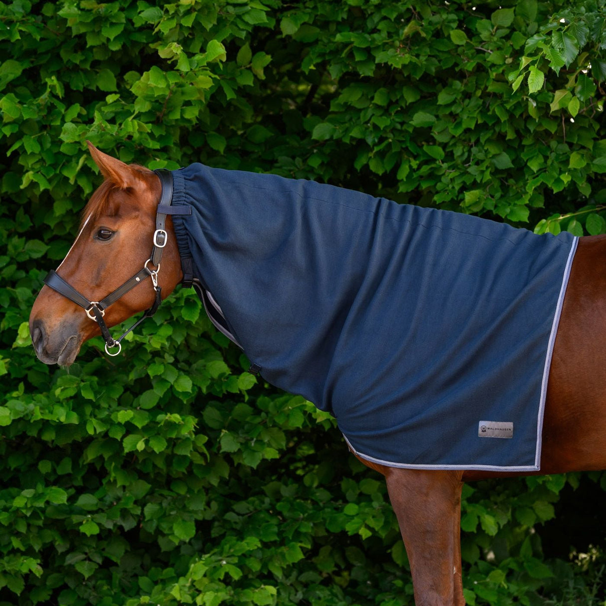 Waldhausen Economic Fleece Neck Rug #colour_night-blue