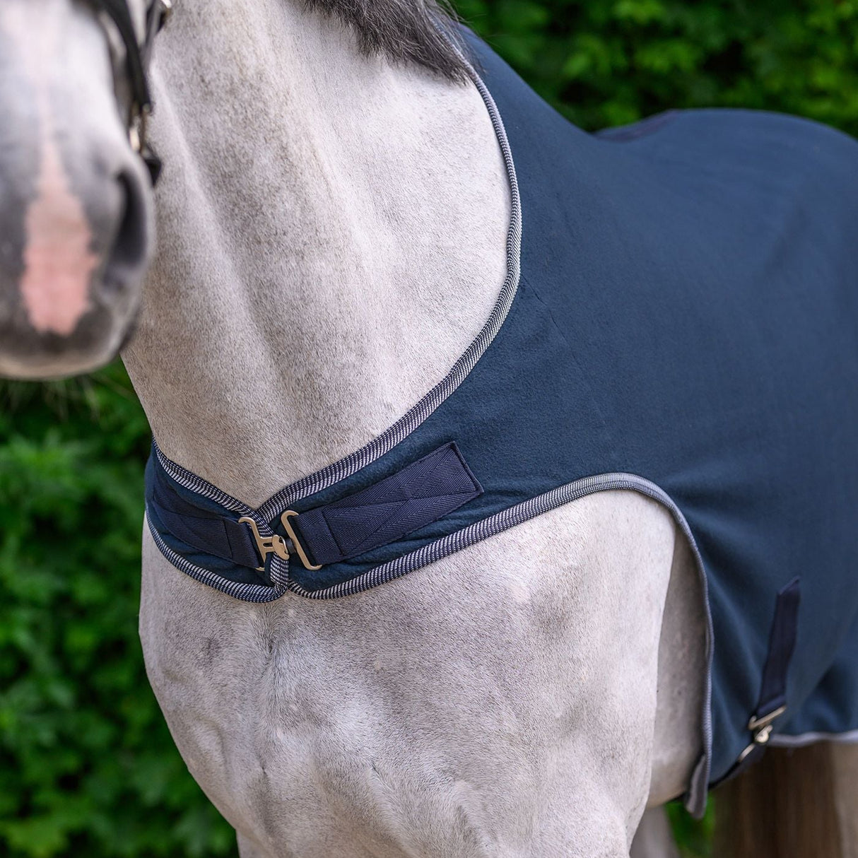 Waldhausen Economic Fleece Walking Rug #colour_night-blue
