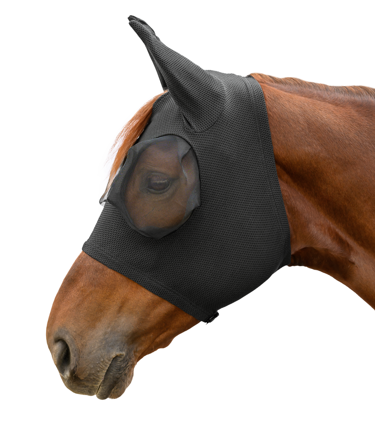 Waldhausen Fly Mask Puck Breath #colour_black