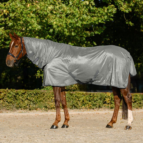 Waldhausen Fly Rug Flycontrol With Neck Rug #colour_silver-grey