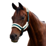 Dublin Soft Fit Fleece Padded Horse Headcollar