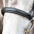 Montar Hunter Noseband #colour_black