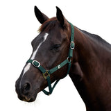 Dublin Everyday Nylon Headcollar for Horses