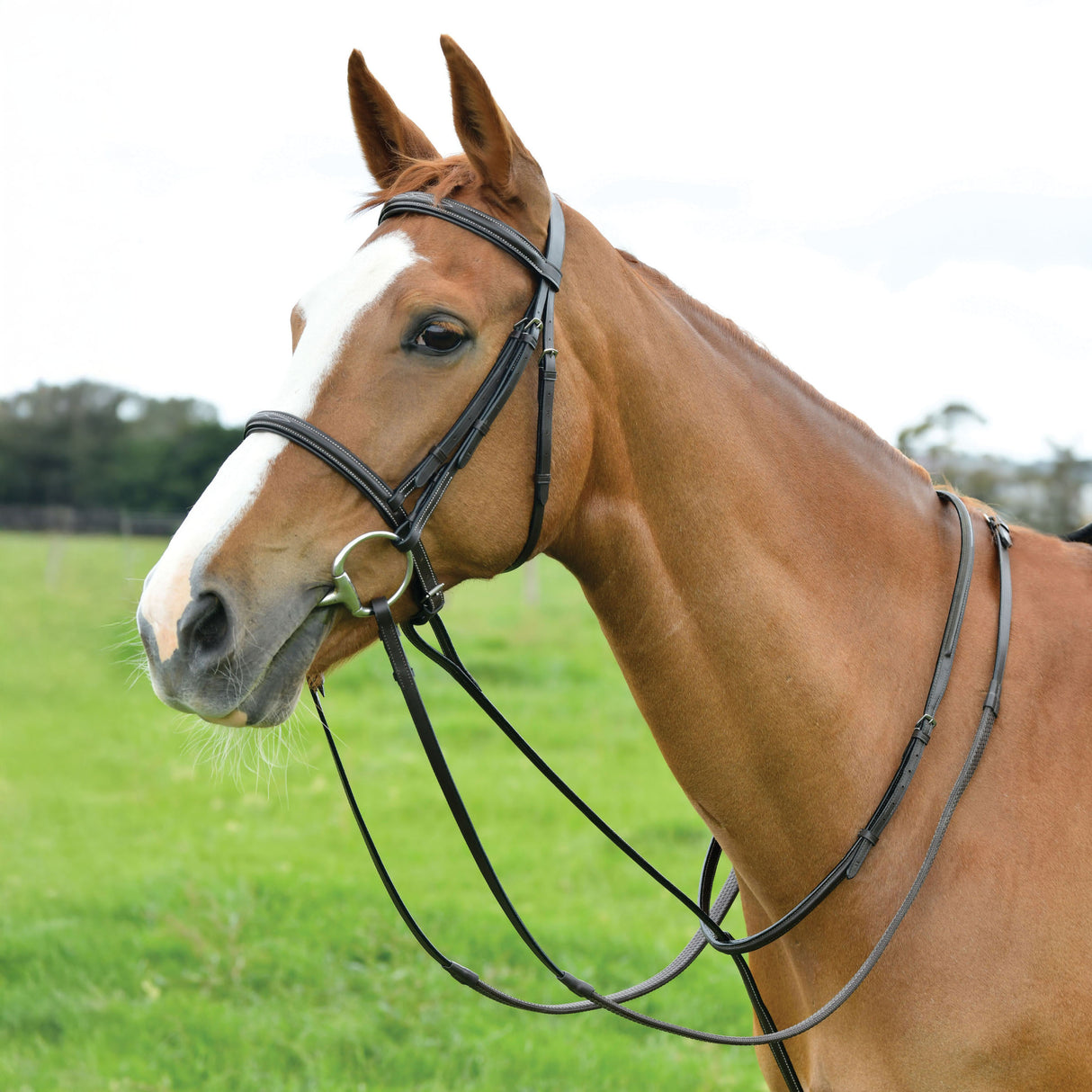 Dublin Standing Padded Leather Martingale