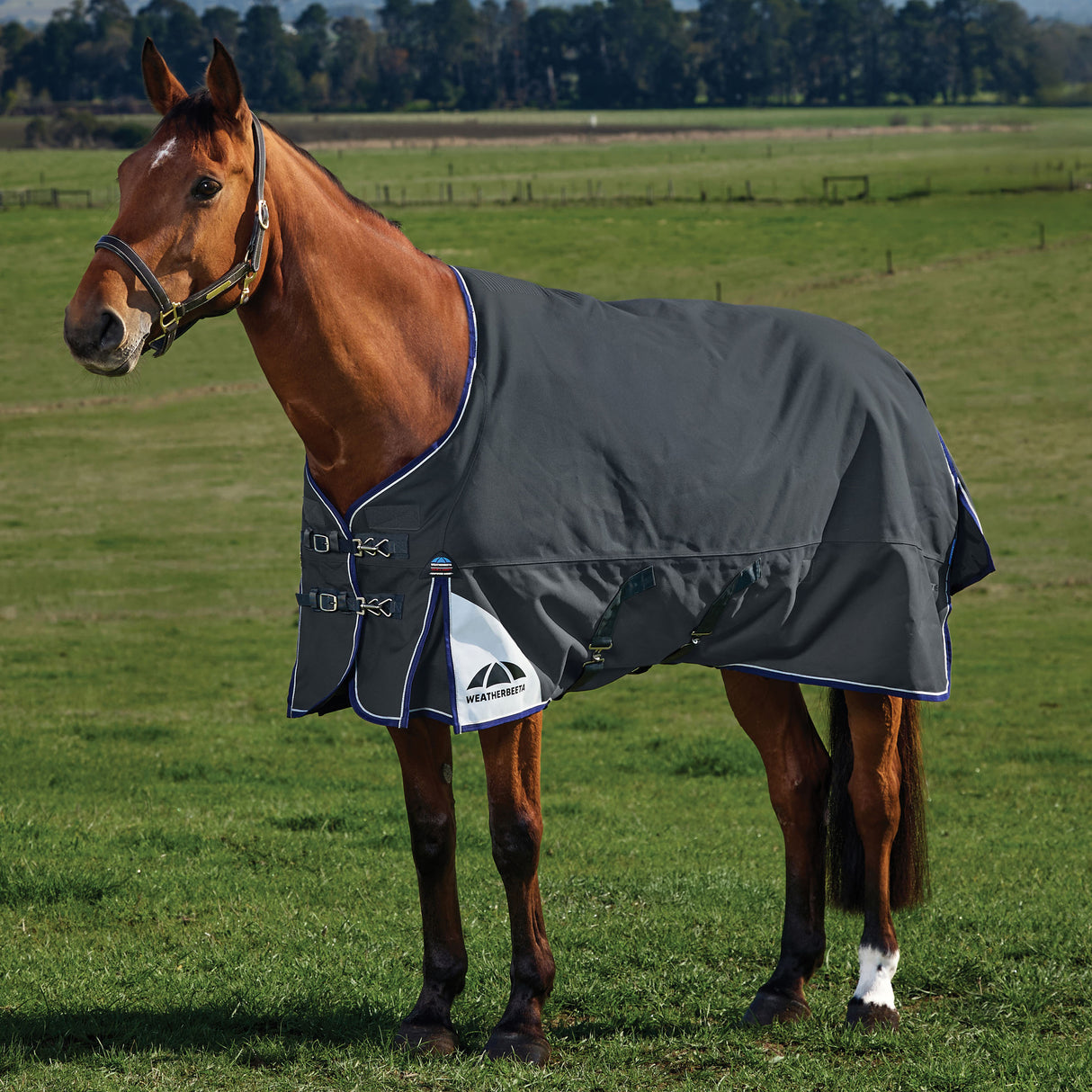 Weatherbeeta Comfitec Ultra Turnout Standard Neck 220g
