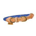 Collier réfléchissant pour chien Shires Digby &amp; Fox