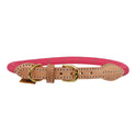 Collier réfléchissant pour chien Shires Digby &amp; Fox