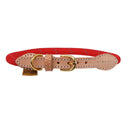 Collier réfléchissant pour chien Shires Digby &amp; Fox