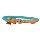 Collier réfléchissant pour chien Shires Digby &amp; Fox