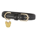 Shires Digby &amp; Fox gepolstertes Hundehalsband aus Leder