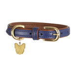 Shires Digby &amp; Fox gepolstertes Hundehalsband aus Leder