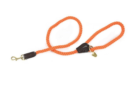Laisse pour chien en corde Shires Digby &amp; Fox