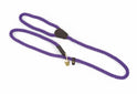 Shires Digby &amp; Fox Rope Slip Hundeleine