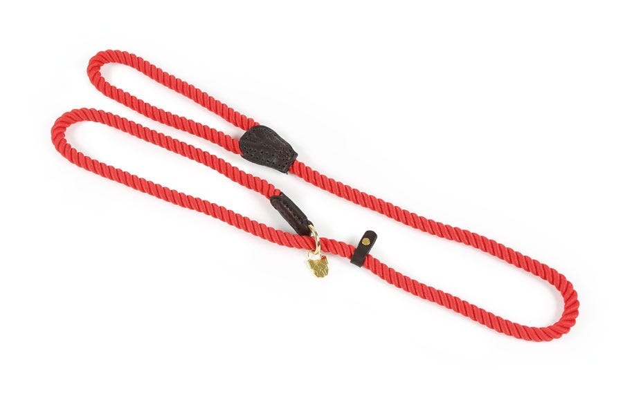 Shires Digby &amp; Fox Rope Slip Hundeleine