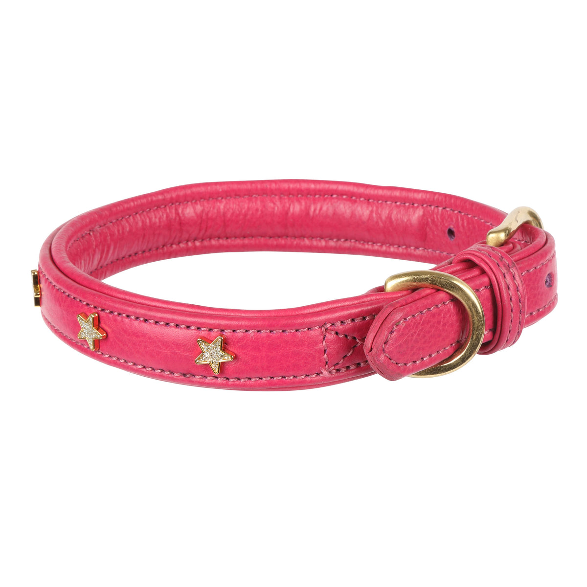 Shires Digby &amp; Fox Star Hundehalsband