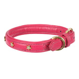 Shires Digby &amp; Fox Star Hundehalsband