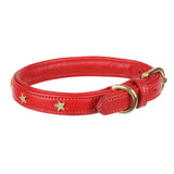 Shires Digby &amp; Fox Star Hundehalsband