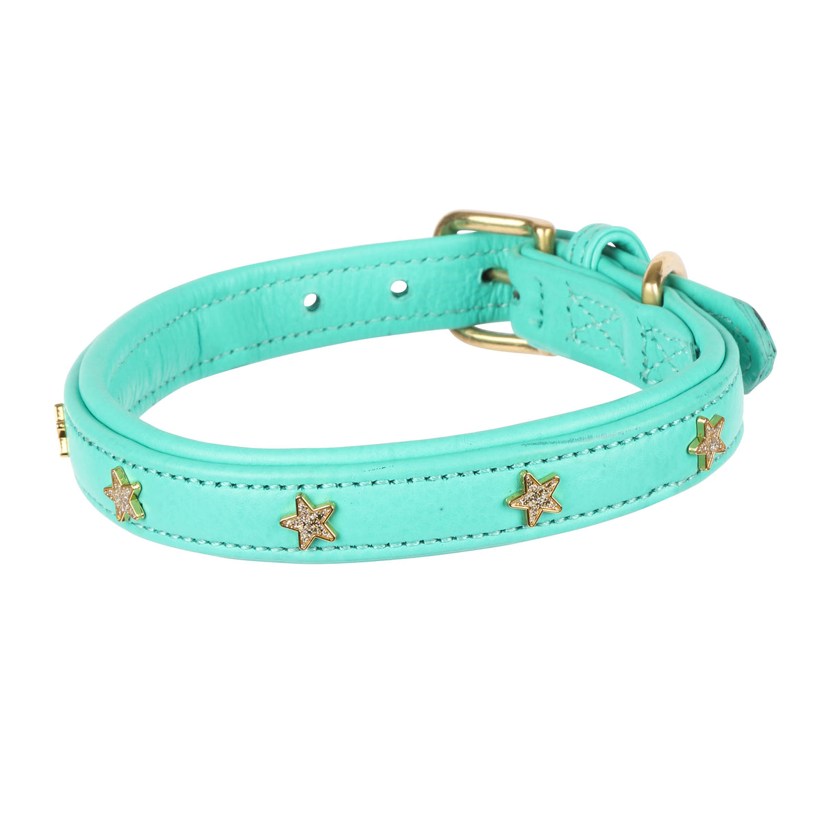 Shires Digby &amp; Fox Star Hundehalsband