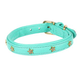 Shires Digby &amp; Fox Star Hundehalsband