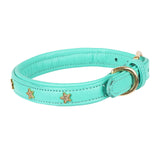 Shires Digby &amp; Fox Star Hundehalsband