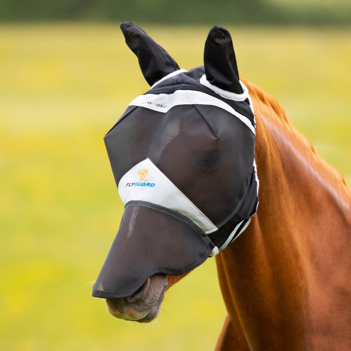 Fly Masks For Horses With Ears - Stop Fly Nuisance