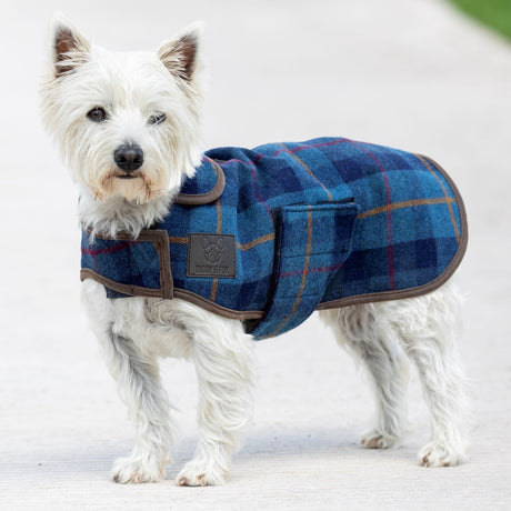 Manteau pour chien Shires Digby &amp; Fox en tweed