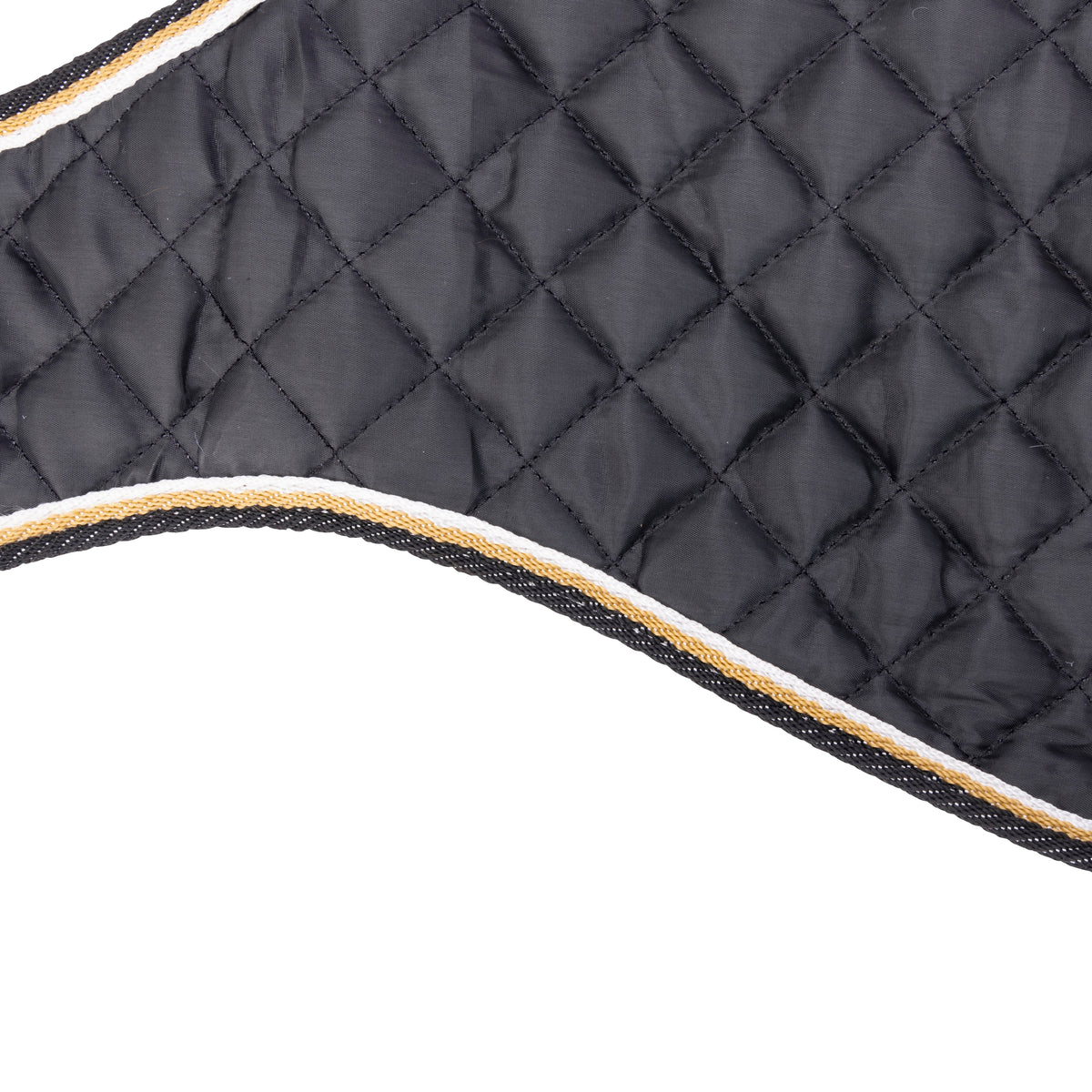 Shires Digby & Fox Waterproof Dog Coat