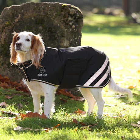 Shires Digby &amp; Fox Wasserdichter Hundemantel 