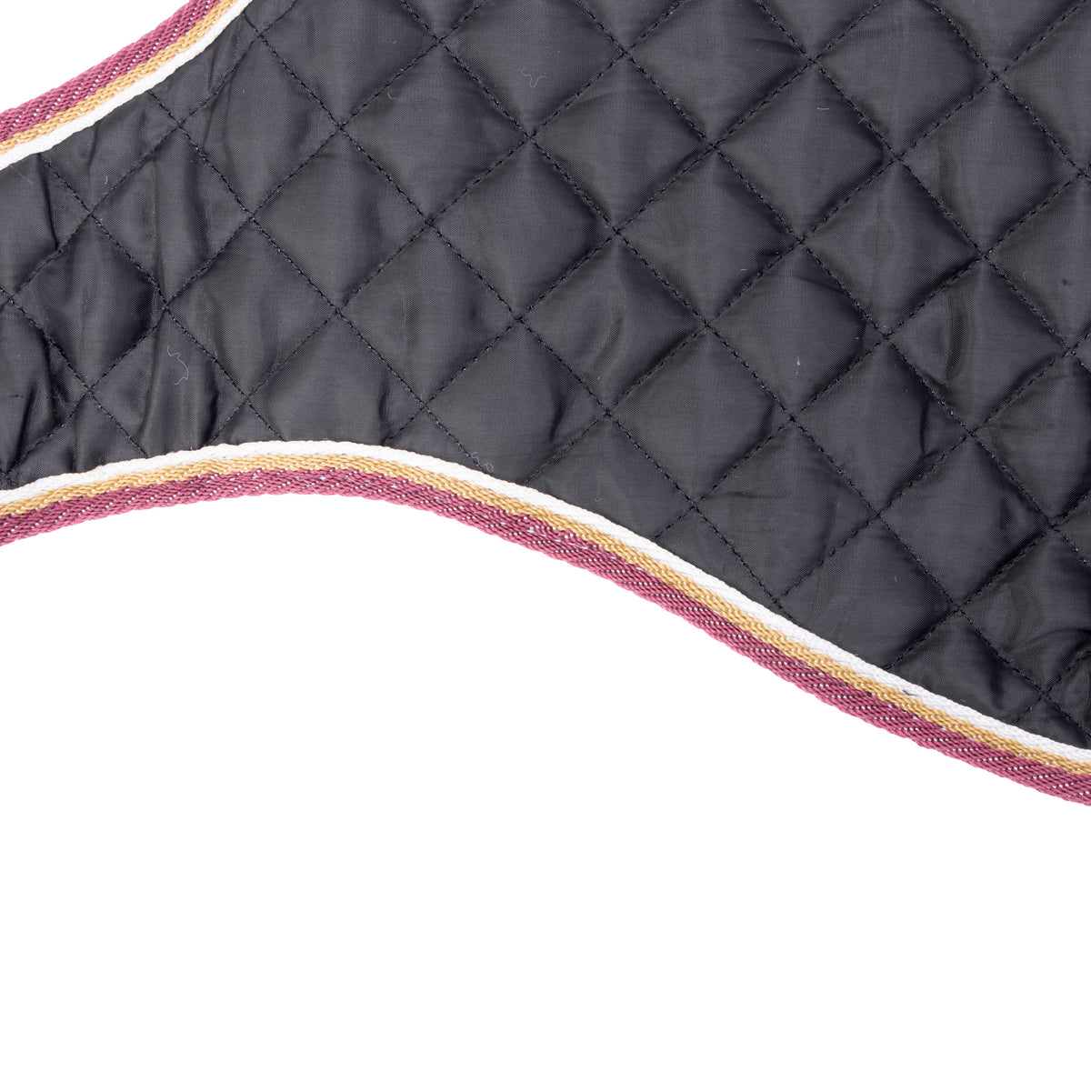 Shires Digby & Fox Waterproof Dog Coat