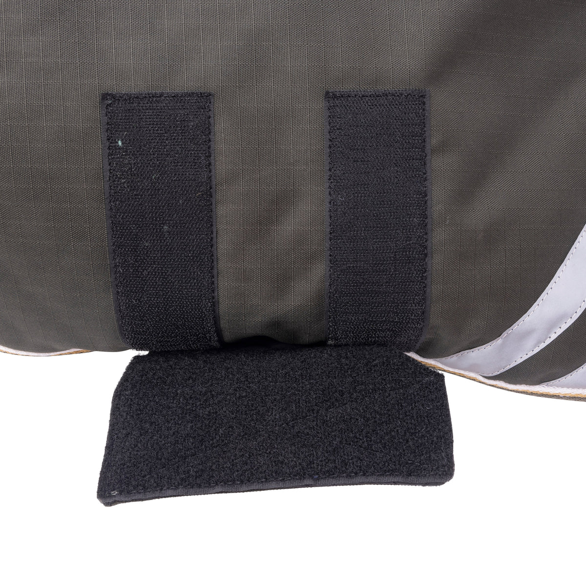 Shires Digby & Fox Waterproof Dog Coat