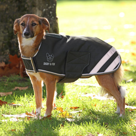 Shires Digby &amp; Fox Wasserdichter Hundemantel 