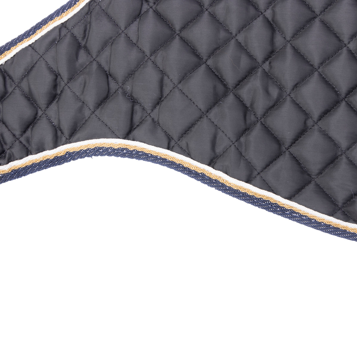 Shires Digby & Fox Waterproof Dog Coat