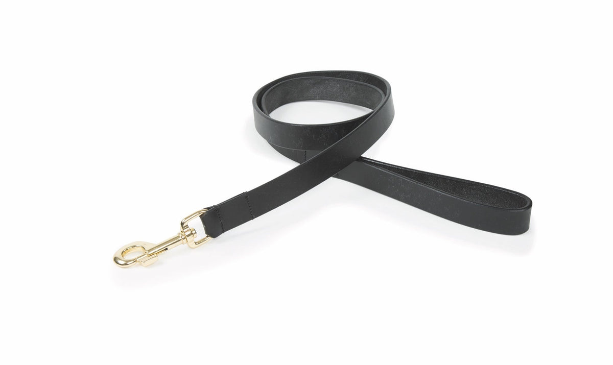 Laisse plate en cuir pour chien Shires Digby &amp; Fox