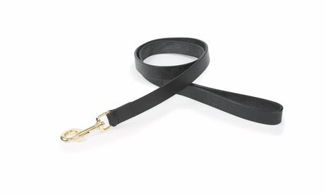 Laisse plate en cuir pour chien Shires Digby &amp; Fox