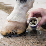 Keratex Cosmetic Hoof Filler #colour_light-hooves