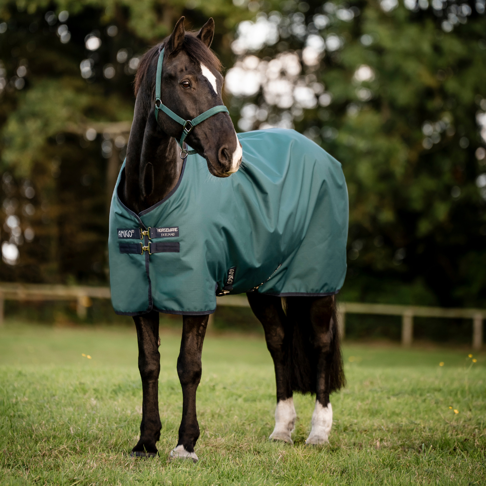 Horseware Ireland Amigo Ripstop 900D 200g Pony Turnout Rug #colour_dynasty-green-navy-silver