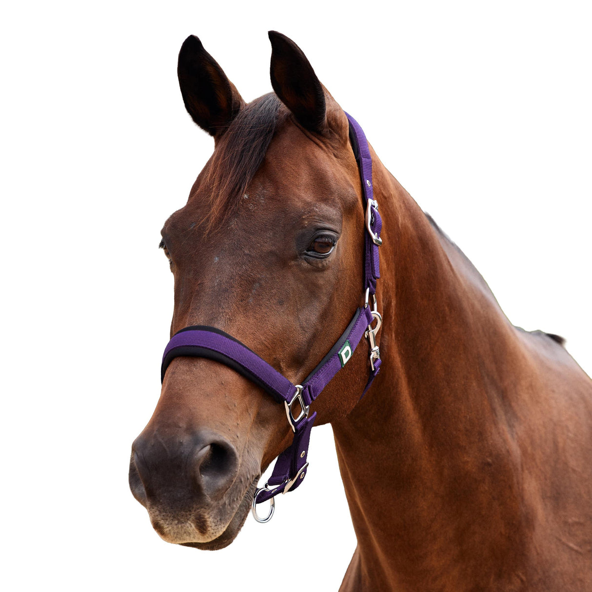 Dublin Neo Comfort Padded Neoprene Horse Headcollar