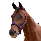 Dublin Neo Comfort Padded Neoprene Horse Headcollar
