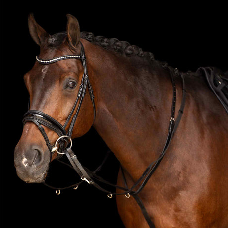 Imperial Riding Thiedeman Core #colour_black