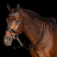 Imperial Riding Thiedeman Core #colour_black