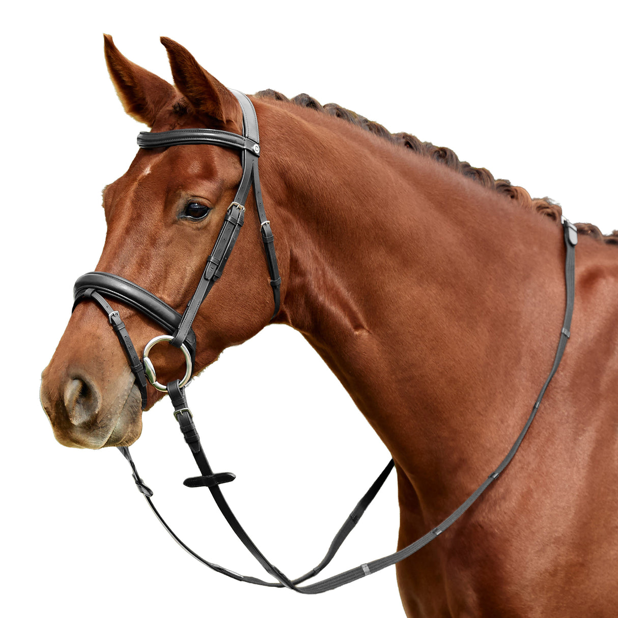 Dublin Padded Mono Crown Flash Leather Bridle for Horses