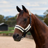 Dublin Soft Fit Fleece Padded Horse Headcollar