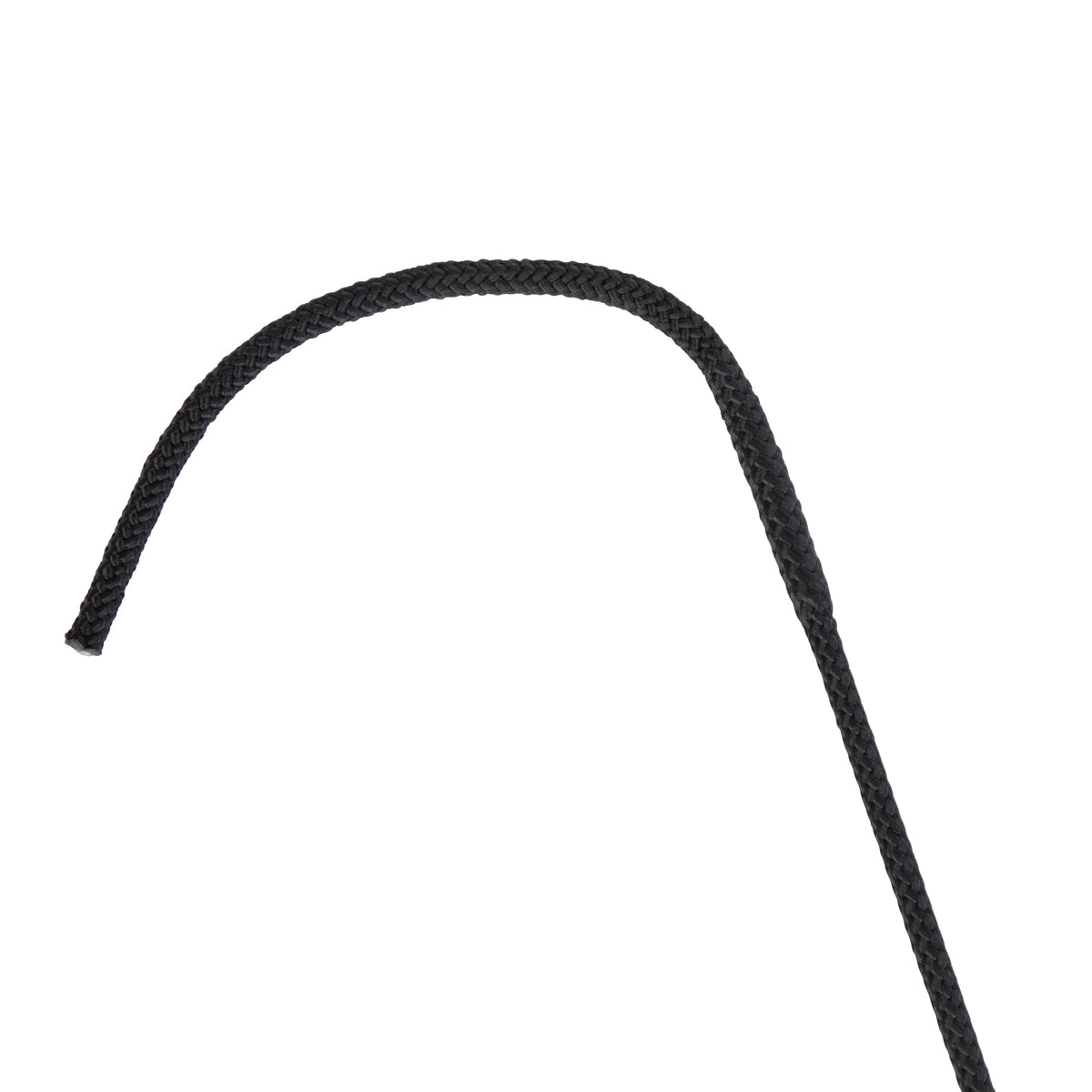 Shires Topaz Schooling Whip