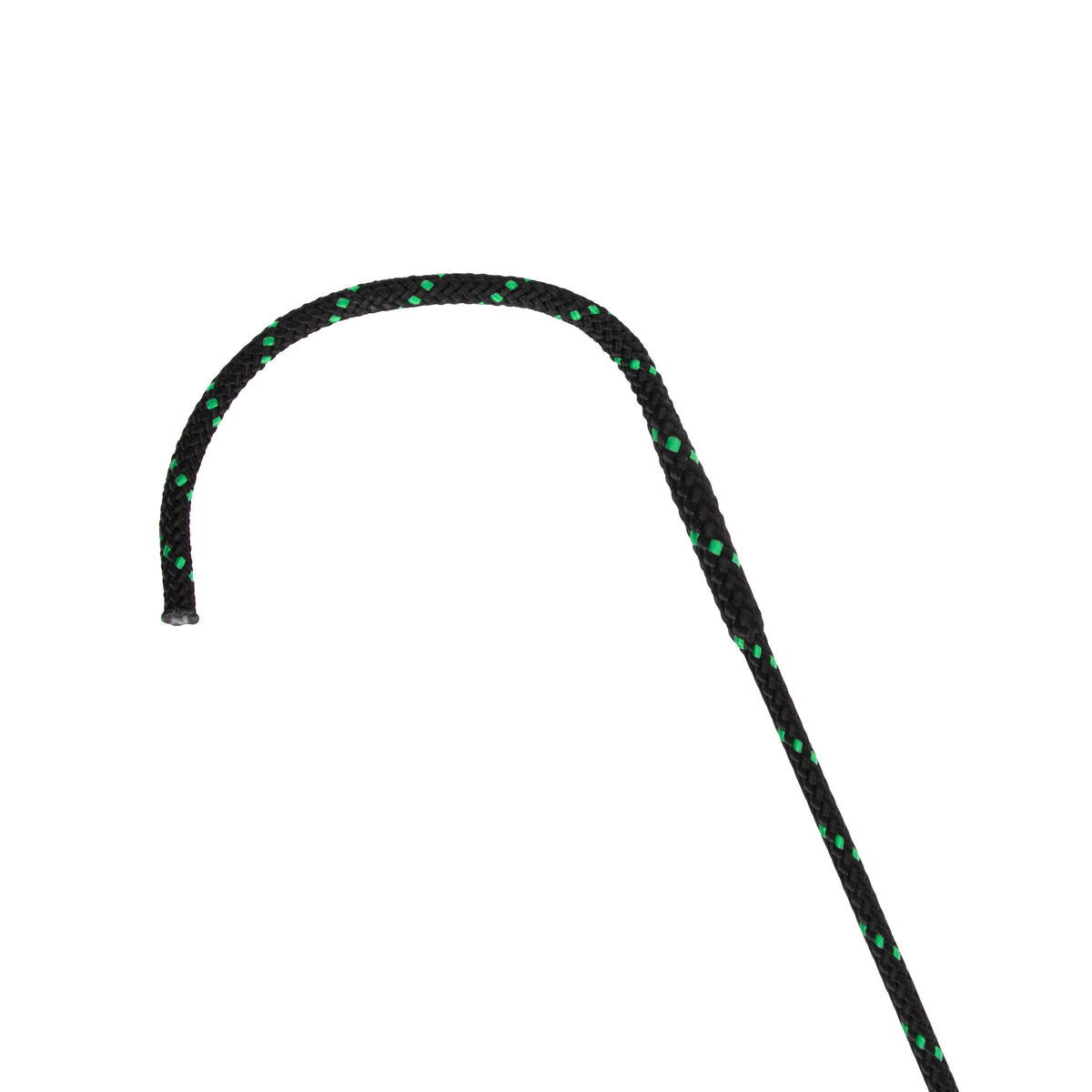 Shires Topaz Schooling Whip