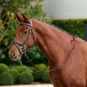 Dublin Padded Flash Leather Horse Bridle with Reins