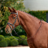 Dublin Padded Flash Leather Horse Bridle with Reins